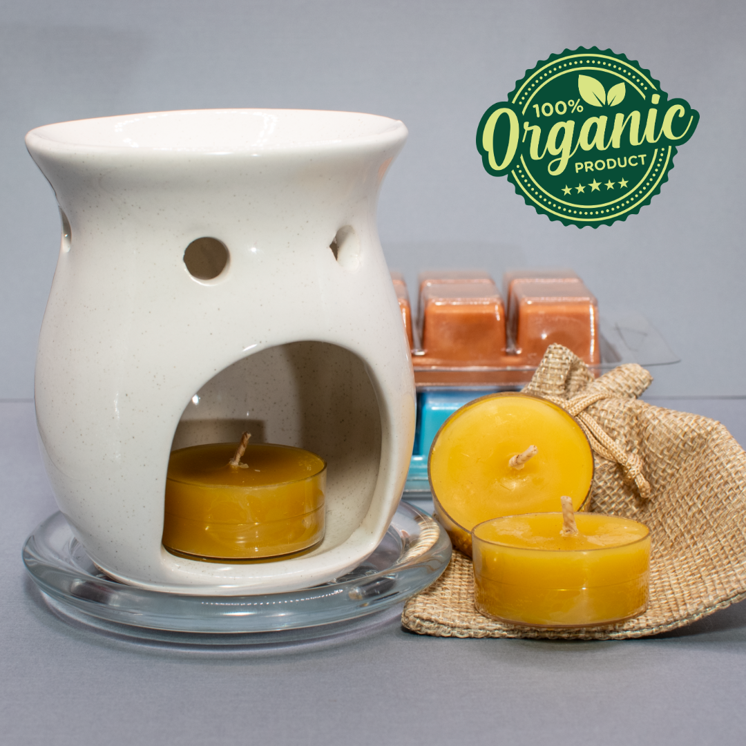 Handcrafted White Wax Warmer Gift Set