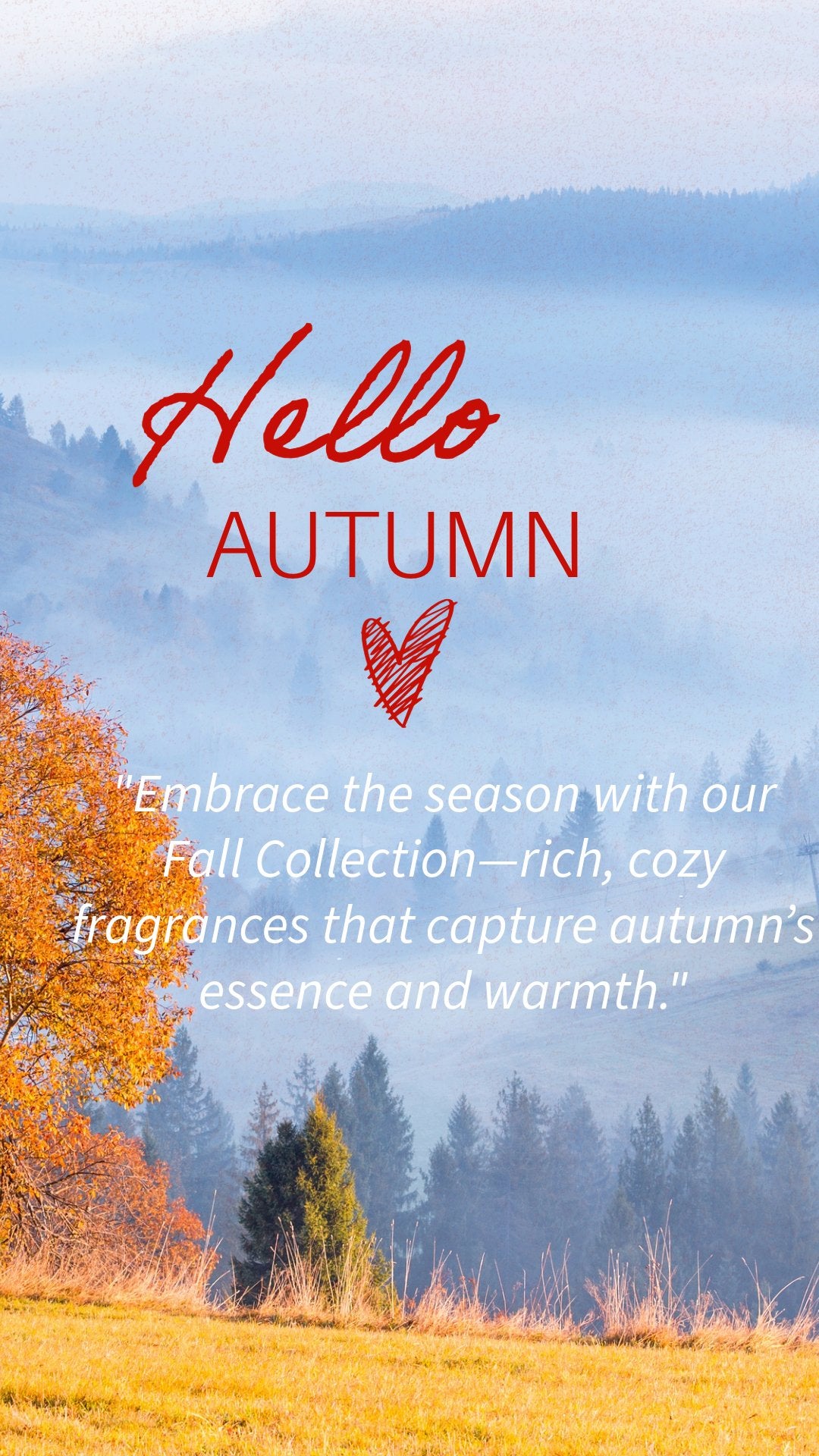 Our Exclusive Fall Collection